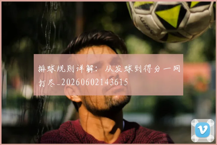 排球规则详解:从发球到得分一网打尽_20260602143615