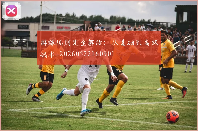 排球规则完全解读:从基础到高级战术_20260522160901