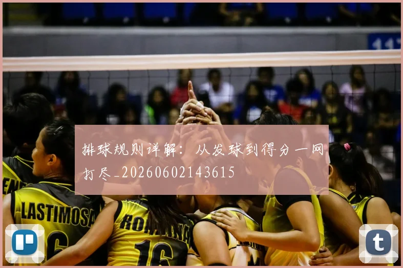 排球规则详解:从发球到得分一网打尽_20260602143615